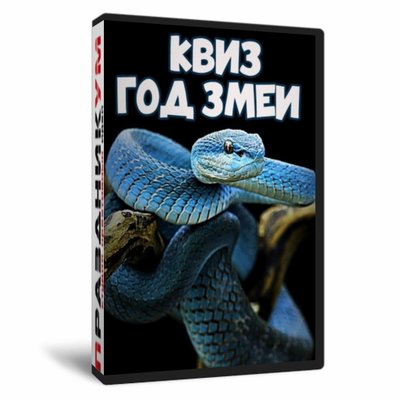 Квиз «Год Змеи»