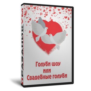 Шоу голубей