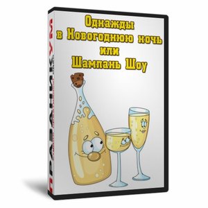Однажды в новогоднюю ночь