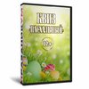 Квиз «Пасхальный»