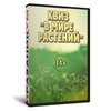 Квиз «В мире растений»