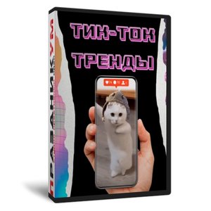 Тик-Ток тренды