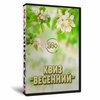 Квиз «Весенний»